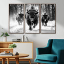 Buffalo Wall Art Canvas Print, Bison Family Wall Art Canvas by MyGreatCanvas | Canvas Wall Art Prints | Photo Prints & Wall Decor