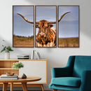 Texas Longhorn Wall Art Print, Framed Longhorn Cow Wall Art