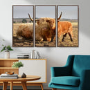 Highland Cow Canvas Wall Art Animal Print for Farm House