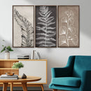 Minimalist Botanical Wall Art Canvas Print, Framed and Ready
