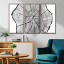 Rustic Tree Ring Wall Art Canvas Print – Framed and Ready to
