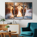 Scottish Highland Cow Horn Farm Wall Art Canvas Print