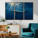 Whale under Ocean Wall Art Canvas Print
