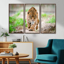 Leopard on the Prowl - Stunning Large Framed Leopard Wall