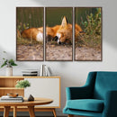 Sleeping Fox Wall Art Canvas Print, Farmhouse Wall Decor and