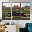 Football Stadium Wall Art – Framed Sports Field Canvas