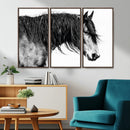 Majestic Horse Wall Art – Framed Black White Portrait Canvas by MyGreatCanvas | Canvas Wall Art Prints | Photo Prints & Wall Decor