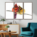 Cardinal Bird Canvas Wall Art - Male and Female Cardinal