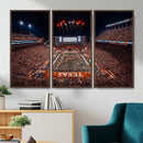 Texas Stadium Night Game Wall Art Canvas Print – Vibrant