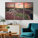 Indiana Memorial Stadium Wall Art Canvas Print, Framed