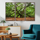 Majestic Oak Tree Wall Art Canvas Print – Ancient Branches by MyGreatCanvas | Canvas Wall Art Prints | Photo Prints & Wall Decor