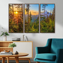Forest Sunset Wall Art Canvas Print, Glowing Evening Light by MyGreatCanvas | Canvas Wall Art Prints | Photo Prints & Wall Decor
