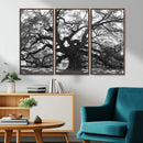 Ancient Oak Wall Art Canvas Print – Gnarled Tree Twisted by MyGreatCanvas | Canvas Wall Art Prints | Photo Prints & Wall Decor