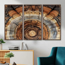 Tree Rings Wall Art Canvas Print – Rustic Wood Texture