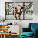 Texas Longhorn Wall Art Canvas Print – Framed Spotted Bull