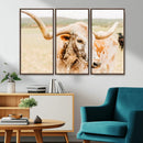 Texas Longhorn Wall Art Canvas Print – Framed Spotted Cow