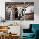 Texas Longhorn Wall Art Canvas Print – Framed Spotted Bull