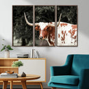 Texas Longhorn Wall Art Canvas Print – Framed Spotted Bull