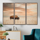 MyCanvas -
