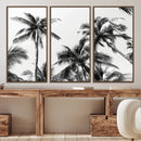 Palm Wall Art Canvas Print – Framed Monochrome Tropical