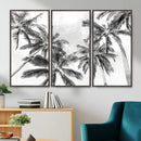 Black and White Palm Wall Art Canvas Print – Framed