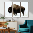 Bison Wall Art Canvas Print – Framed Western Wildlife by MyGreatCanvas | Canvas Wall Art Prints | Photo Prints & Wall Decor