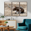 Texas Longhorn Wall Art Canvas Print – Framed Country Living