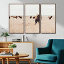 Bison Herd Wall Art Canvas Print – Framed Western Prairie