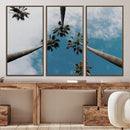 Tropical Palm Trees Wall Art Canvas Print – Framed