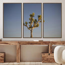 Joshua Tree Wall Art Canvas Print – Framed Southwestern