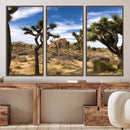 Joshua Tree Desert Wall Art Canvas Print – Framed