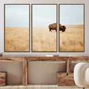 Buffalo Wall Art Canvas Print – Framed Western Wildlife by MyGreatCanvas | Canvas Wall Art Prints | Photo Prints & Wall Decor