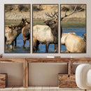 Wild Elk Wall Art Canvas Print – Framed Neutral Wildlife