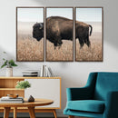 American Bison Wall Art Canvas Print – Majestic Buffalo