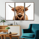 Scottish Highland Cow Canvas Print, Framed Highland Cow