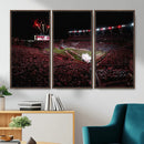 William Brice Stadium Wall Art Print – Baseball Game Room by MyGreatCanvas | Canvas Wall Art Prints | Photo Prints & Wall Decor