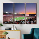 Dooley Stadium Wall Art, Sports Arena Canvas Print, Dooley