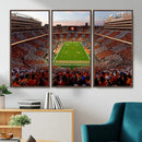 Tennessee Neyland Stadium Wall Art, Sports Arena Canvas by MyGreatCanvas | Canvas Wall Art Prints | Photo Prints & Wall Decor