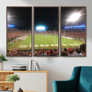 Dooley Stadium Wall Art, Sports Arena Panoramic Canvas