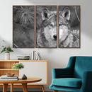 Wild Wolf Blue Eye Wall Art Canvas Print