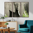 Wild Elephant Wall Art Canvas Print by MyGreatCanvas | Canvas Wall Art Prints | Photo Prints & Wall Decor