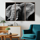 Big Elephant Close Up Wall Art Canvas Print