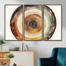 Natural Wood Slice Wall Art Canvas Print, Tree Ring Wall by MyGreatCanvas | Canvas Wall Art Prints | Photo Prints & Wall Decor