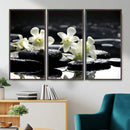 Plumeria Frangipani Black Stone Canvas | White Flower Spa by MyGreatCanvas | Canvas Wall Art Prints | Photo Prints & Wall Decor