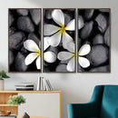 Plumeria Frangipani Black Stone Canvas | White Flower Spa by MyGreatCanvas | Canvas Wall Art Prints | Photo Prints & Wall Decor