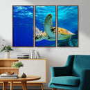 Sea Turtle Wall Art Canvas Print, Sea life in the Ocean Wall