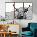 Newfoundland Cow Art Wall Art, Black White Cow Art Wall Art
