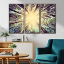 Tree and Sunshine Canvas Print