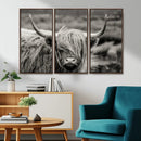 Cow Focus Canvas Wall Art Print by MyGreatCanvas | Canvas Wall Art Prints | Photo Prints & Wall Decor