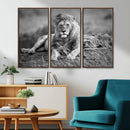 King Forest Lion Wall Art Canvas Print – Framed Majestic by MyGreatCanvas | Canvas Wall Art Prints | Photo Prints & Wall Decor